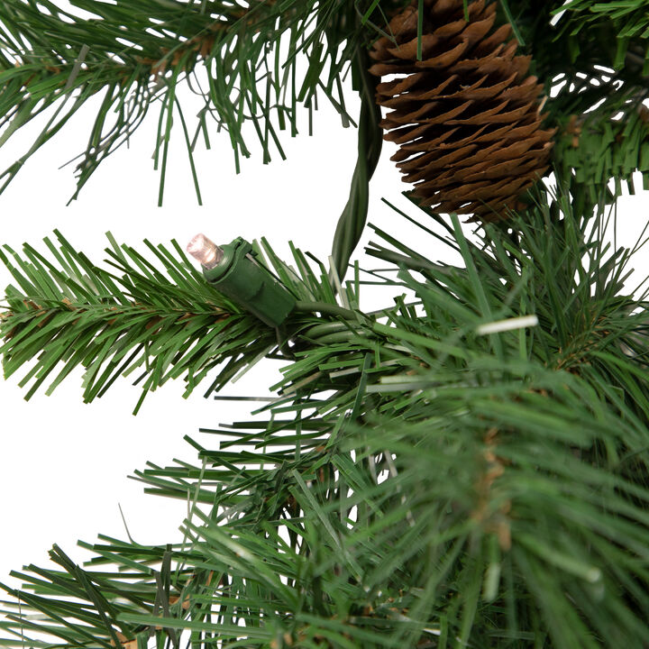 50' x 12" Pre-Lit Black River Pine Artificial Christmas Garland  Warm White LED Lights