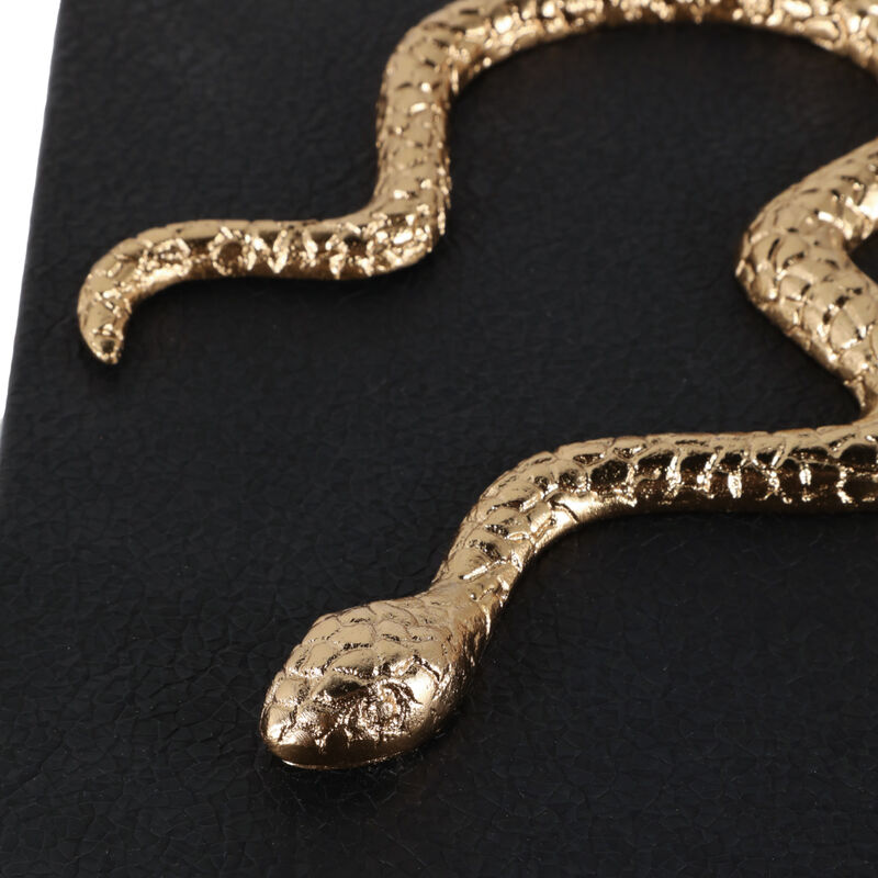 11x8" Faux Leather Snake Box image number 5