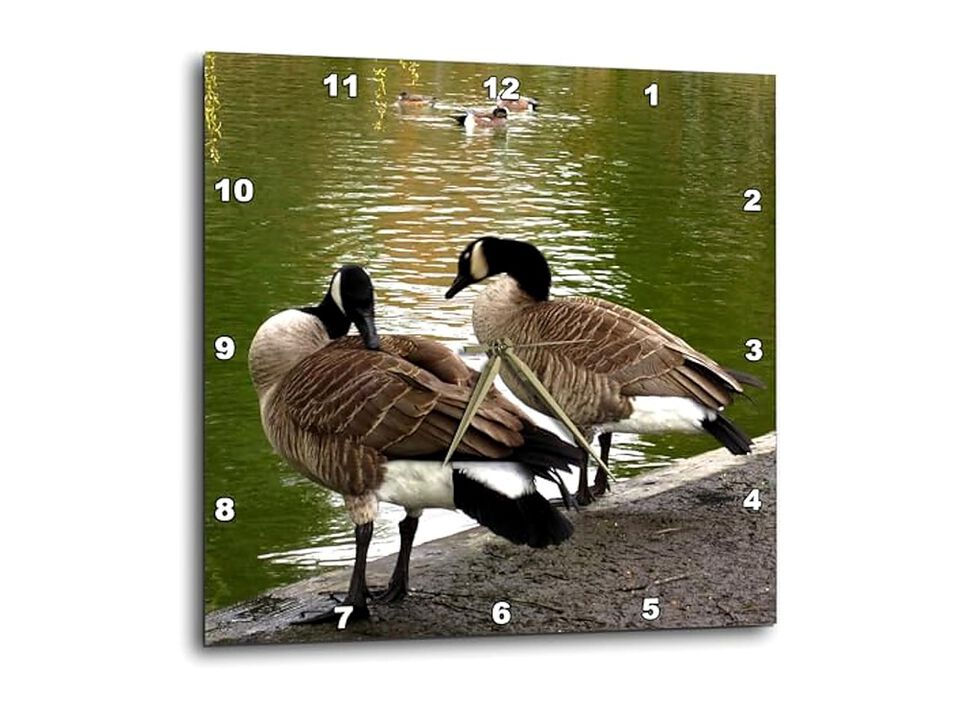 Canada Geese Preening Waters Edge Wall Clock 10 Inch Home Decor