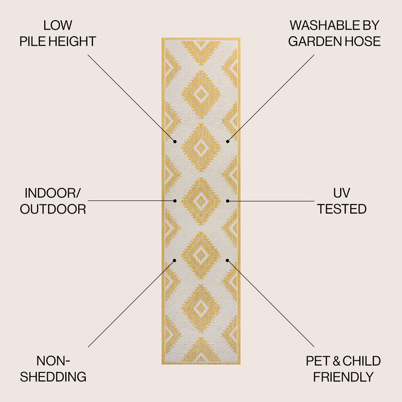 Lior Geometric Moroccan Diamond Indoor/Outdoor Area Rug