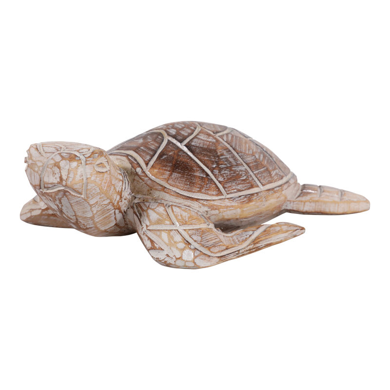 12x8" Alibizia Wood Turtle image number 5