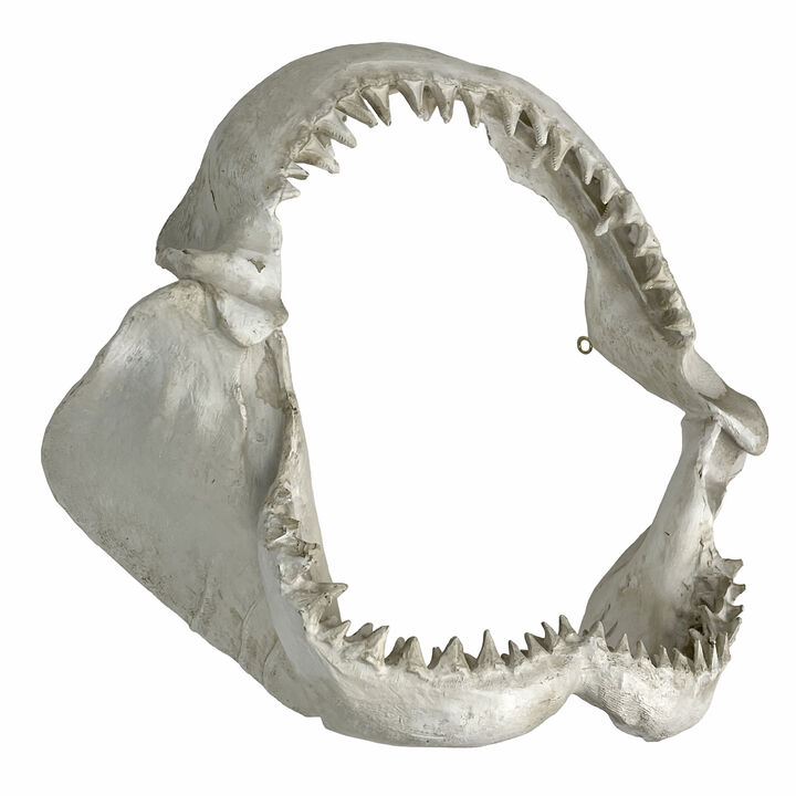 Replica Shark Jaw Wall Sculpture Resin Coastal Nautical Decor 16" Off-White Art