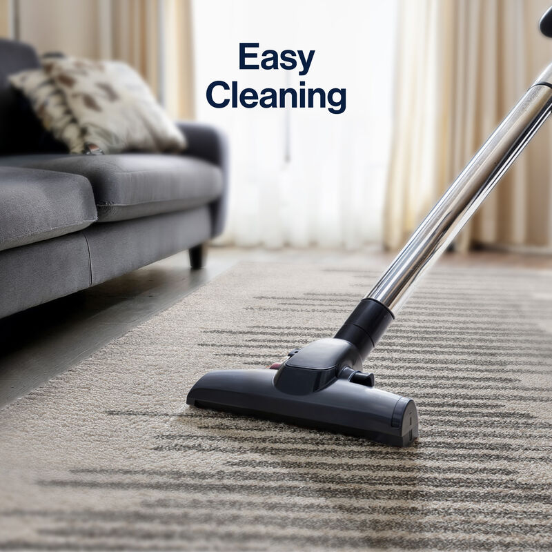 Aya Berber Stripe Geometric Area Rug