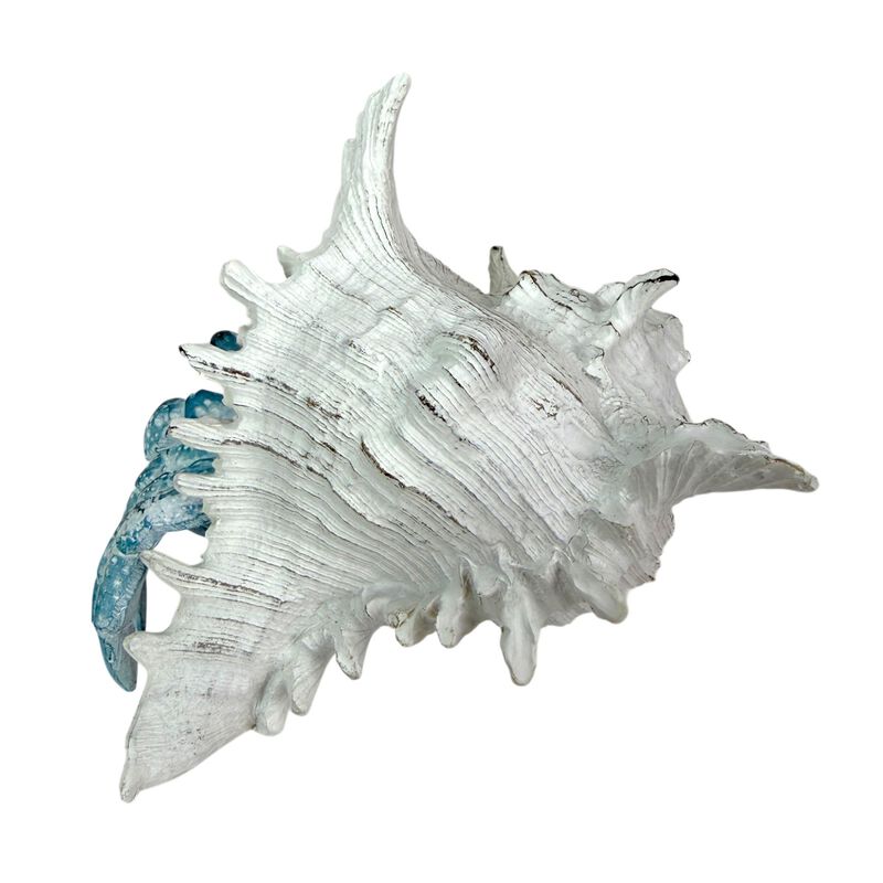 Blue Hermit Crab Statue Resin Coastal Seashell Figurine 525 Inch Decor image number 2