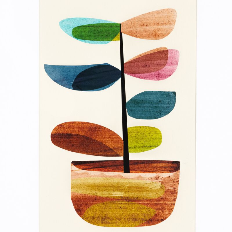 Pot Plant II by Dan Hobday