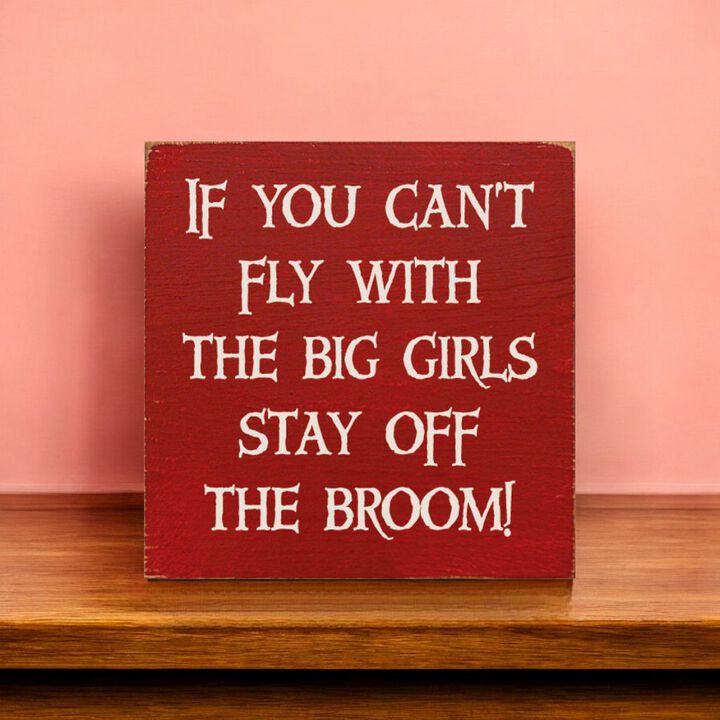 If You Can't Fly with the Big Girls Stay Off the Broom Wood Sign