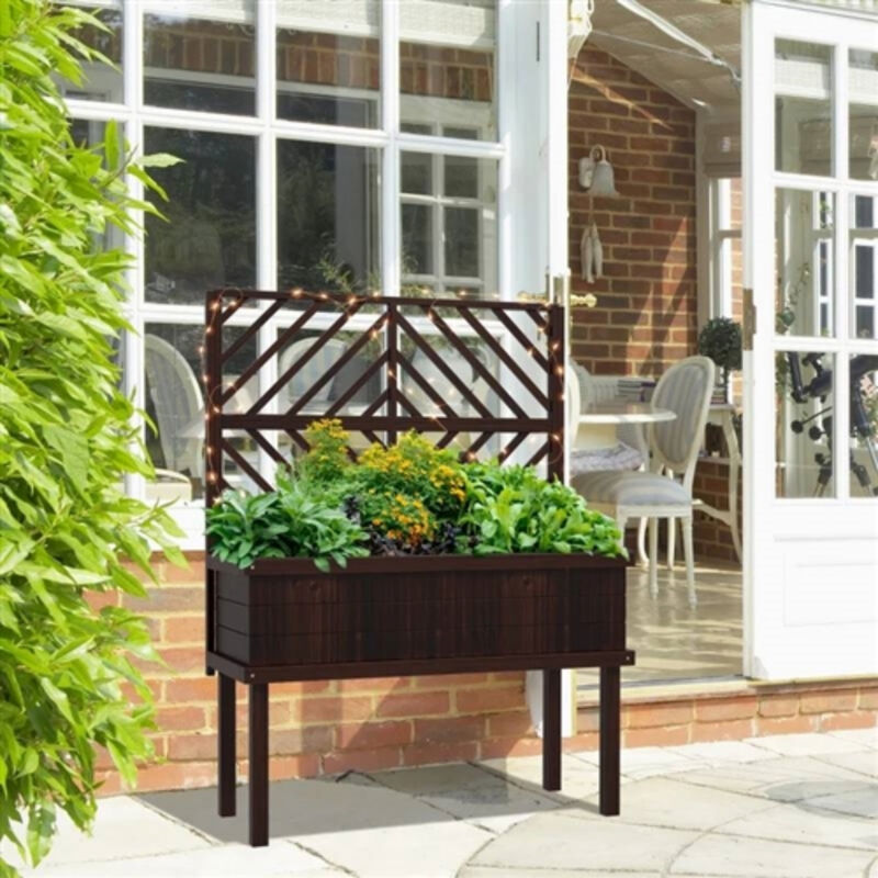 Elevated Fir Wood Raised Garden Bed with Decorative Climbing Trellis