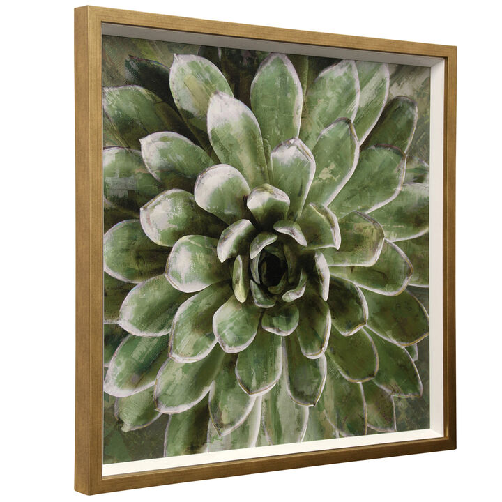 Succulent Verde II Frame Framed Print