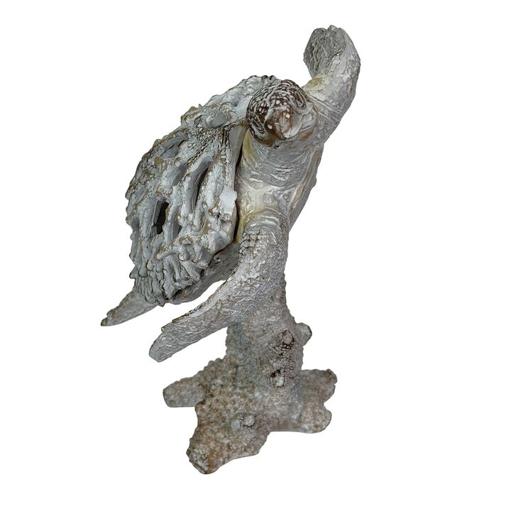 Sea Turtle Statue Whitewash Coral Look Polyresin Coastal Decor 7 In Tall