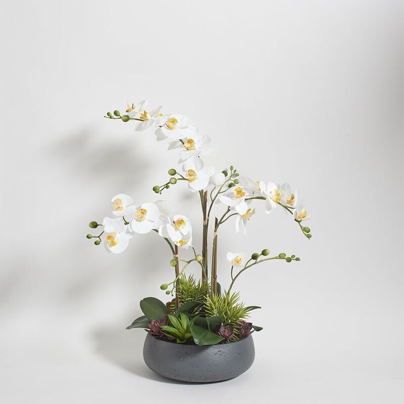 Artificial Orchid with Succulents image number 8
