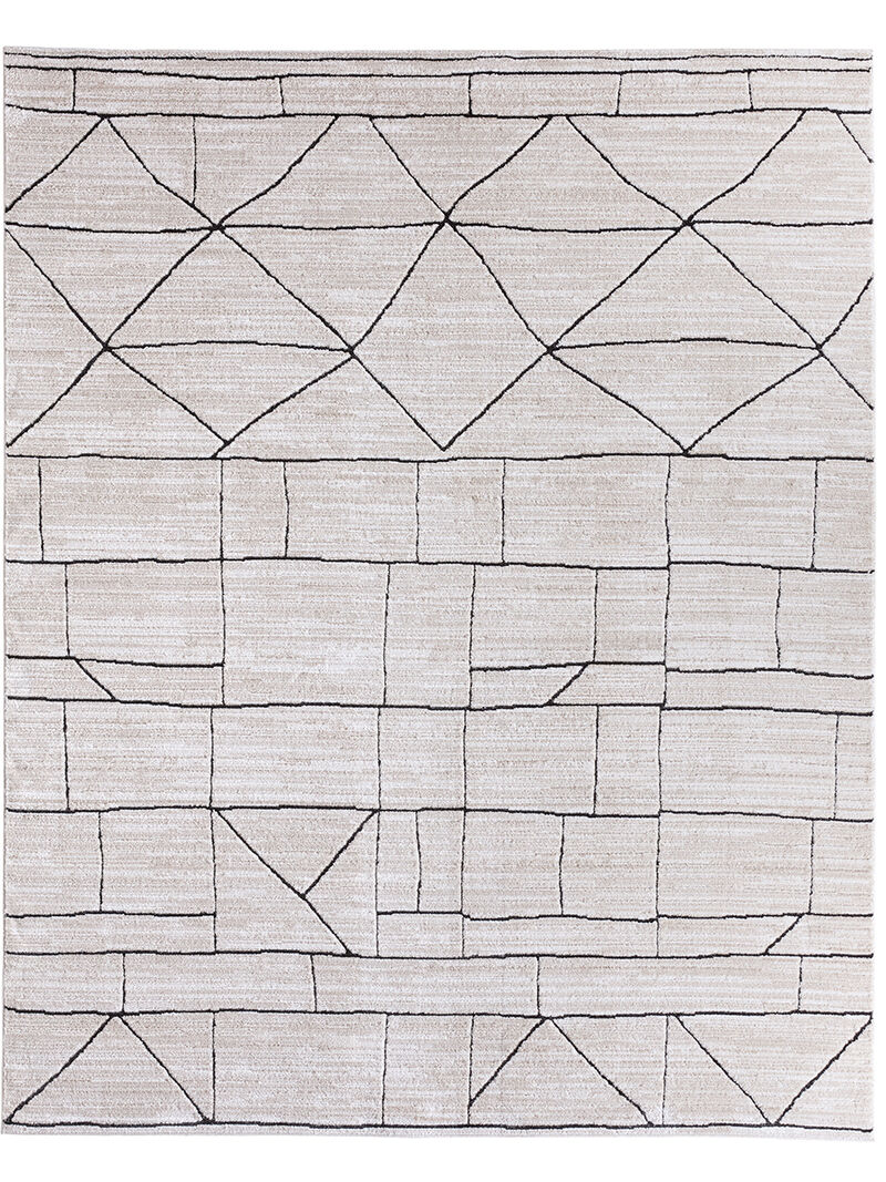 Eva Farhan Tan/Taupe 9'6" x 13'6" Rug image number 0
