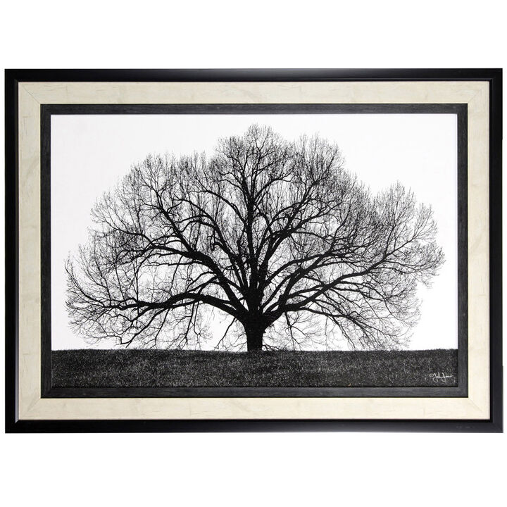 The Tree Framed Print