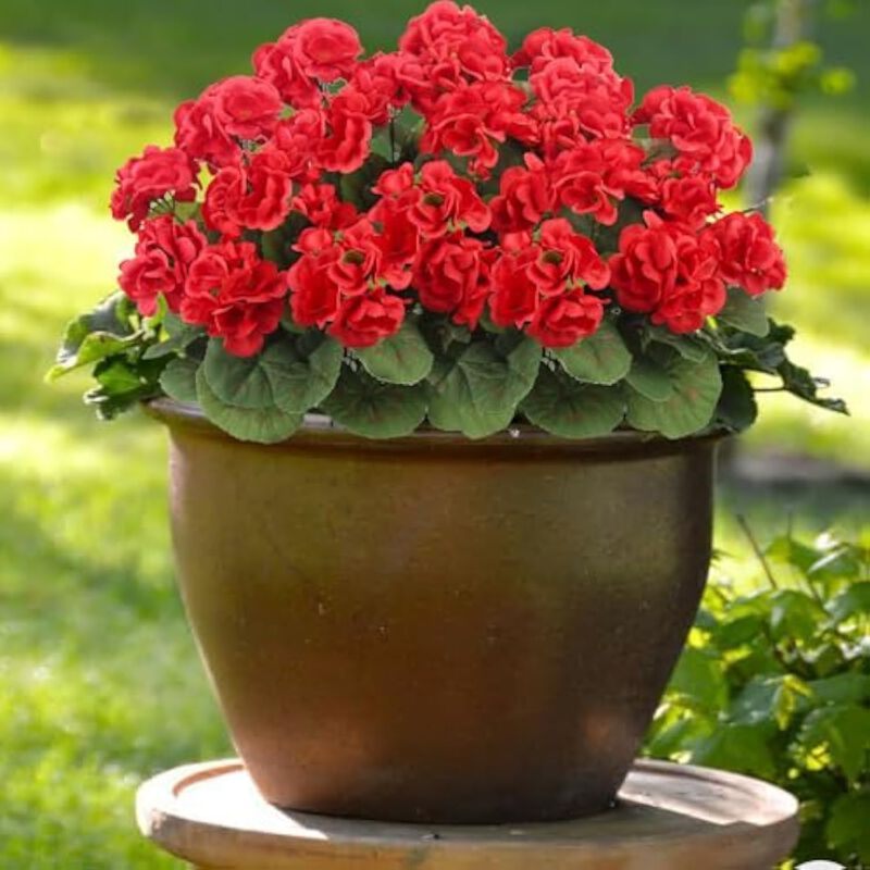 3 Piece Red Artificial Geranium Flowers UV Resistant Outdoor Vase Filler image number 3