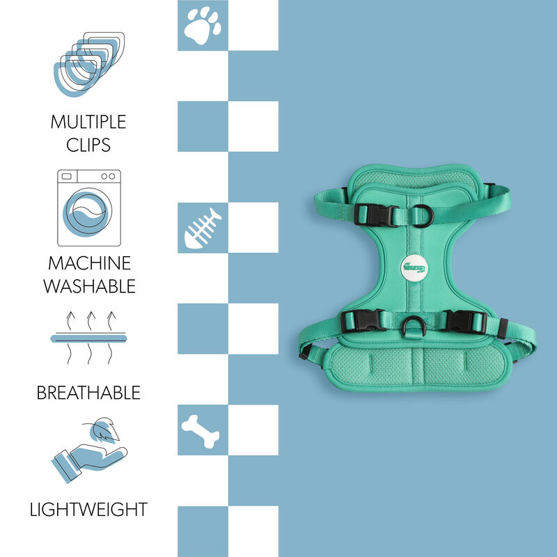 Arlo Adjustable Soft Padded No Pull Pet Harness with 3 Buckles and 3 Leash Clips