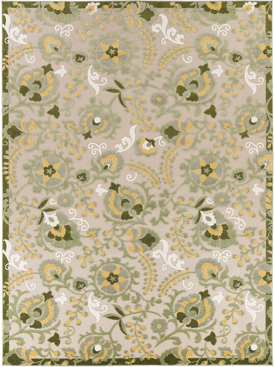 Aloha ALH17 Ivory/Green 10' x 14' Rug