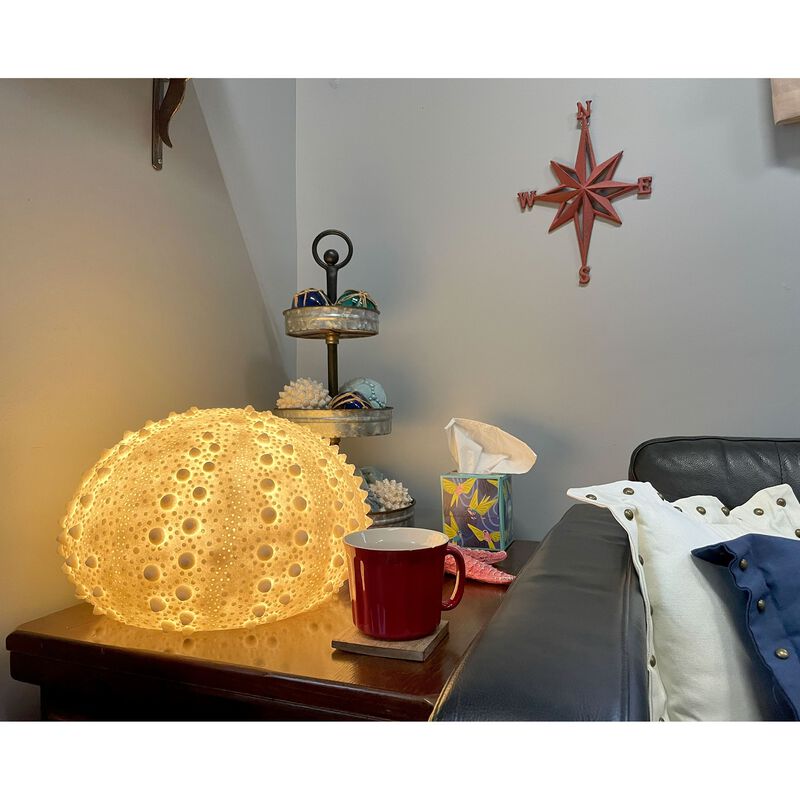 Large White Sea Urchin Coastal Accent Lamp 16 Inch Diameter image number 5