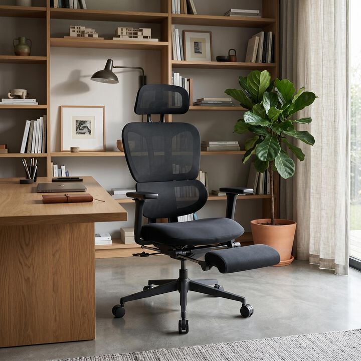 Ergonomic Office Chair with Footrest, High-back Computer Chair with Dynamic Lumbar Support