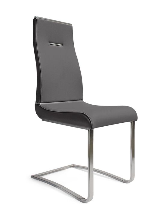 Dining Chair with Brushed Stainless Steel, Set of 2