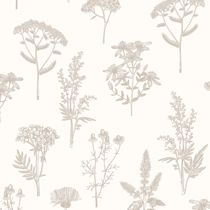 Luminous Botanical Sketch Wallpaper
