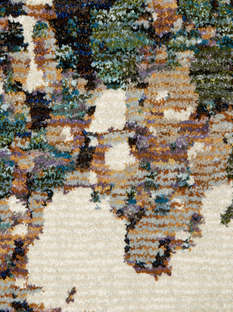 Evolution 981A Collection