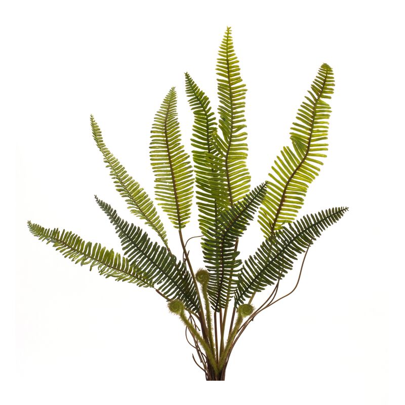 Variegated Fern Foliage Bush for Lush Home Décor and Floral Arrangements (Set of 6)