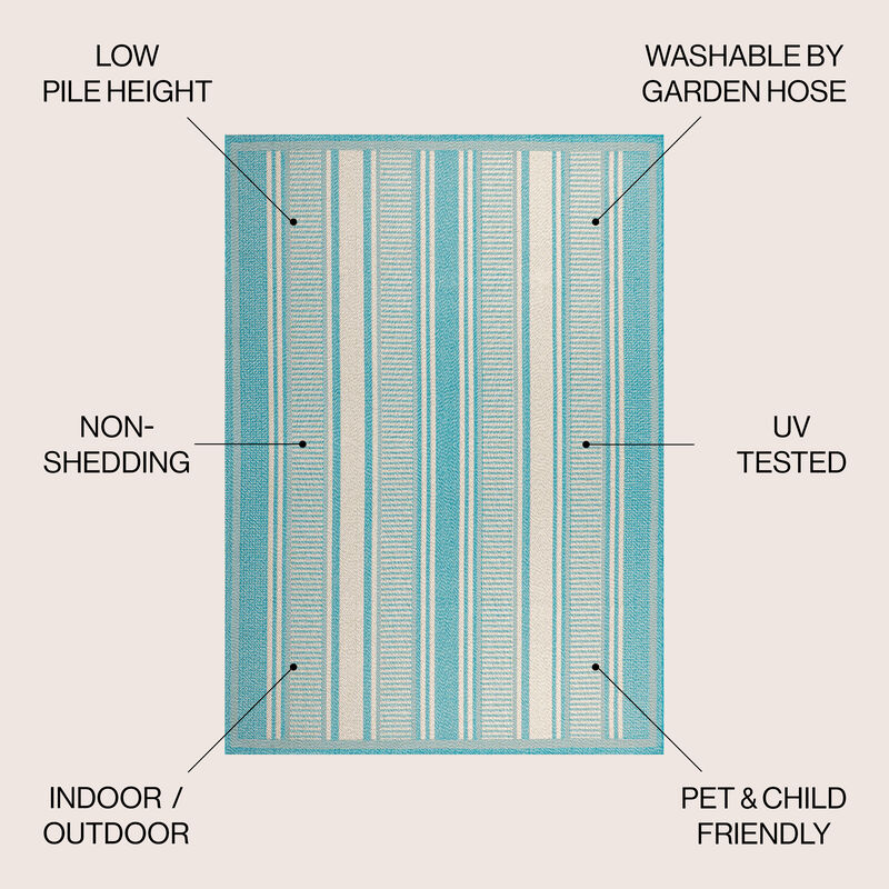 Haynes Modern Double Stripe Indoor/Outdoor Area Rug