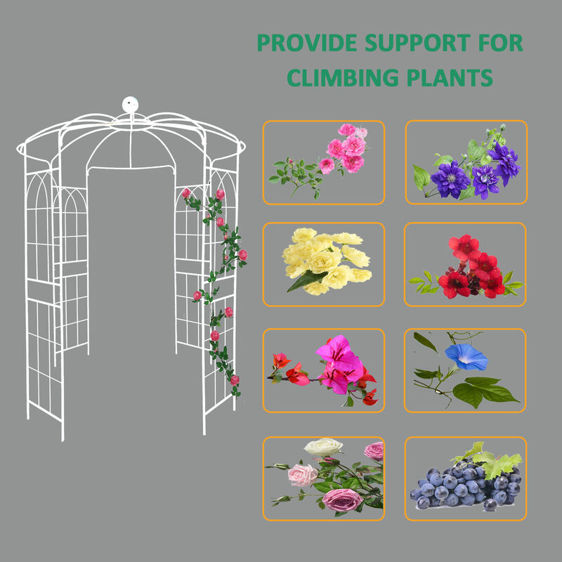Wedding Arch Gazebo Metal Birdcage Pergola for Ceremonies & Gardens