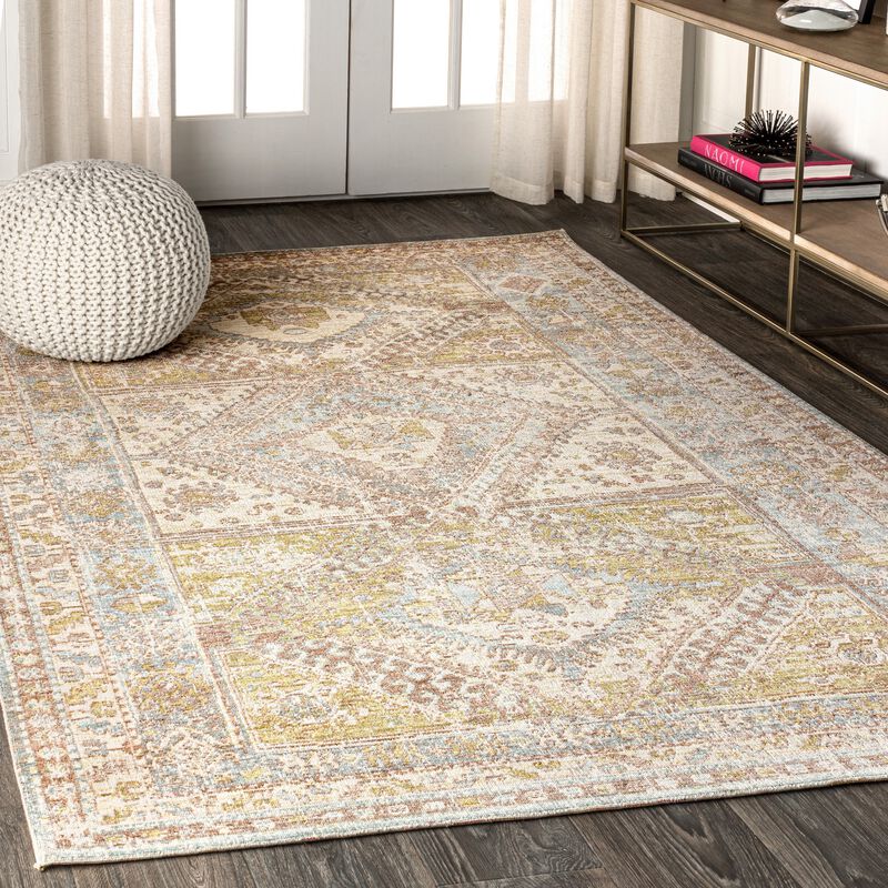 Darija Ornate Geometric Medallion Area Rug