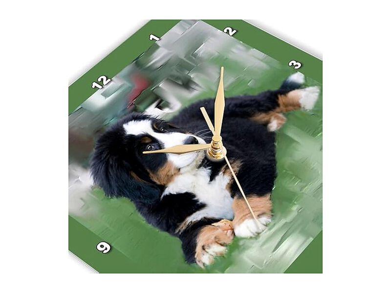 Bernese Mountain Dog Wall Clock 13 Inch Home Decor image number 3