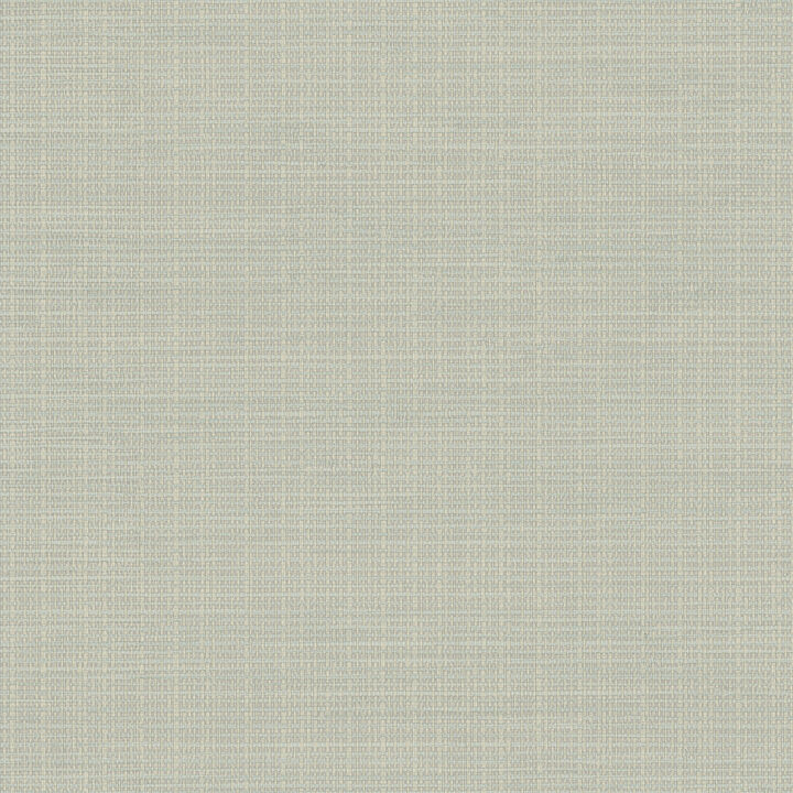 Kent Beige Grasscloth Wallpaper (Set of 2)