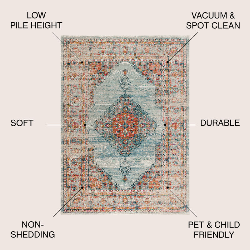 Cadiz Vintage Medallion Area Rug