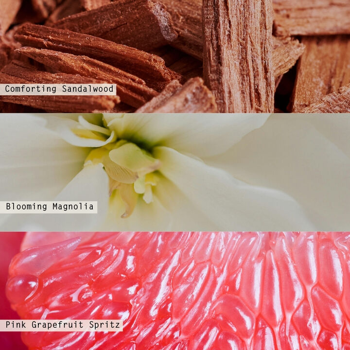 ILLUME Beautifully Done Driftwood Refillable Aromatic Diffuser