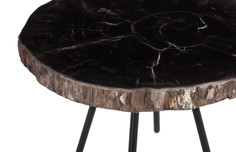 Petrified Coffee Table