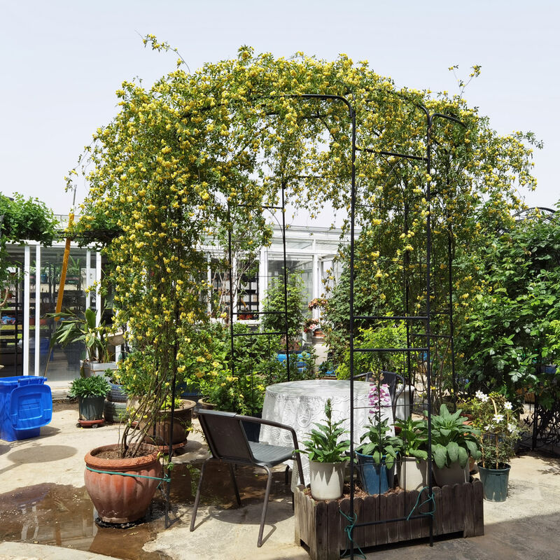 Streamdale Birdcage Shaped Metal Garden Arch Gazebo image number 3