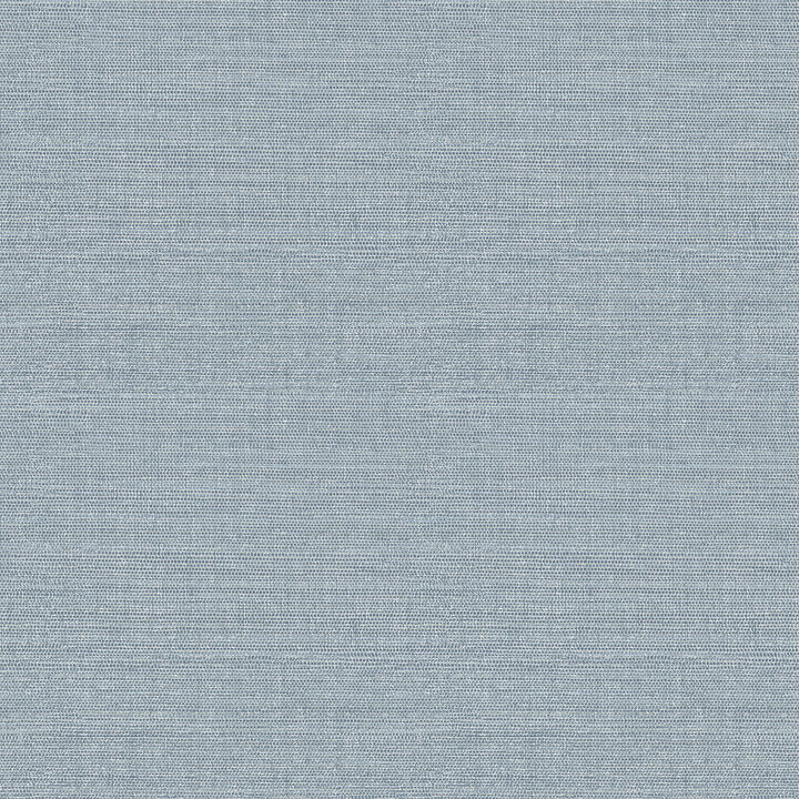 Agave Denim Faux Grasscloth Wallpaper (Set of 2)