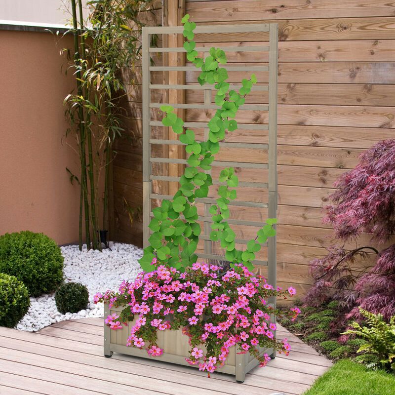 Raised Garden Bed with Trellis for Climbing Plants