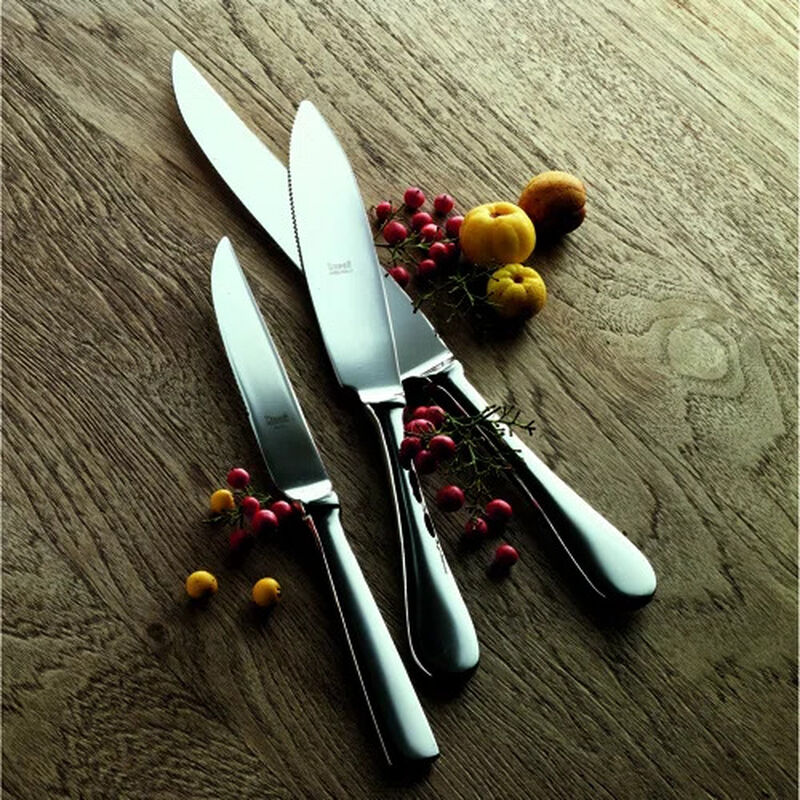 4-Piece Steak Knife Set in Mirror