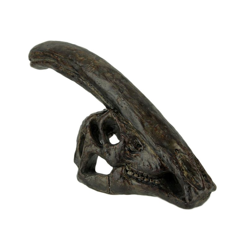 8 In Parasaurolophus Dinosaur Skull Fossil Resin Statue Home Office Decor image number 0
