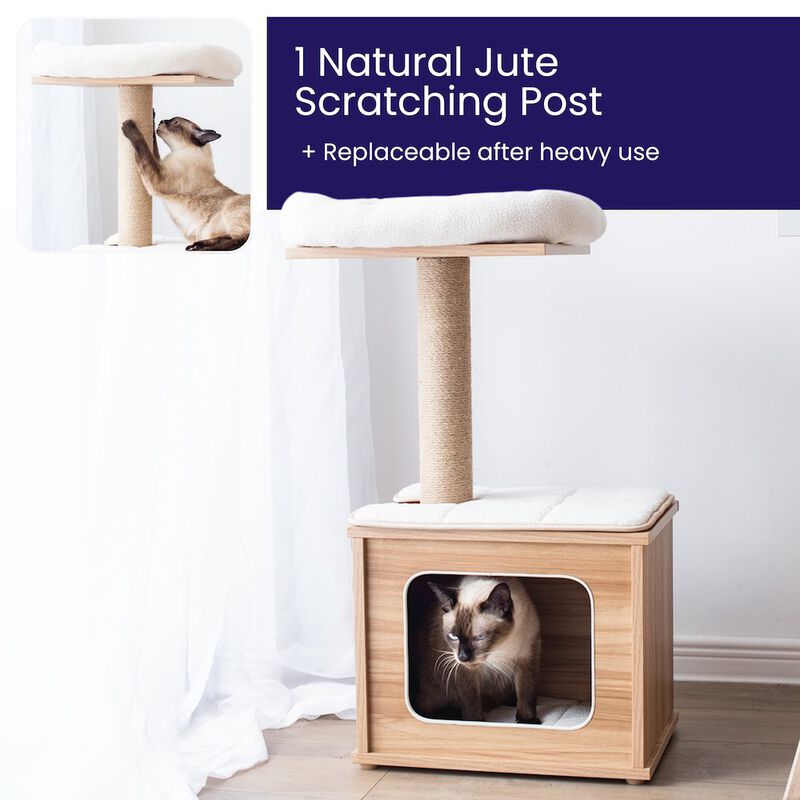 Catry Cedar 3-Level 29.7" Cat Tree for Small Cats & Kittens with Replaceable Parts