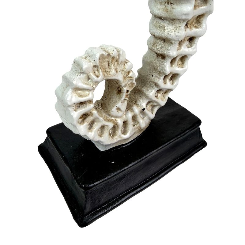 Seahorse Statue Coastal Nautical Resin Tabletop Sculpture 10 Inch Off White image number 5
