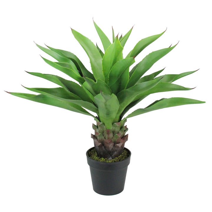 30.5" Brown and Green Artificial Agave Succulent Plant In a Black Pot