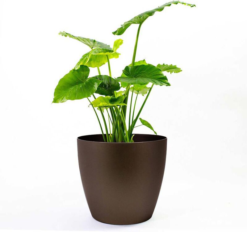 American Essence Memphis Small Round Plastic Planter.