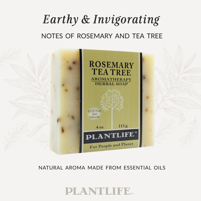 Plantlife Bar Soap - Rosemary Tea Tree 3 Pack image number 2