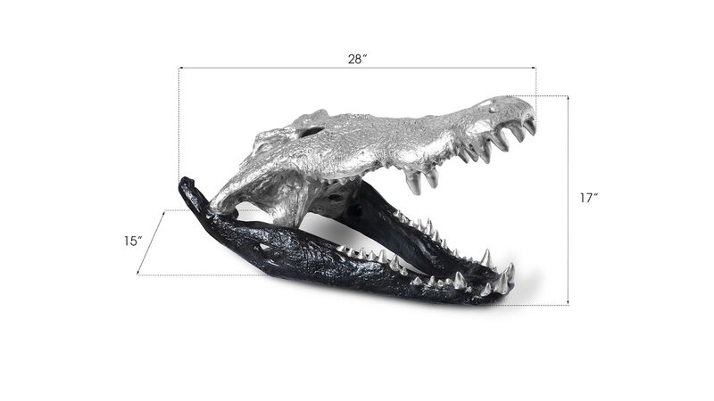 Crocodile Skull