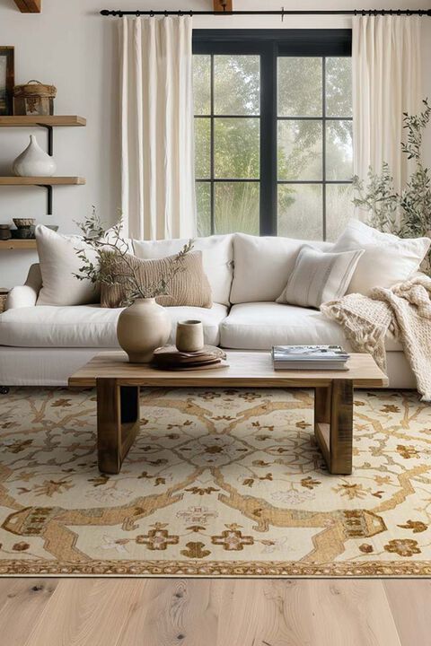 Ethereal Seraphic Camel 10' x 14' Rug