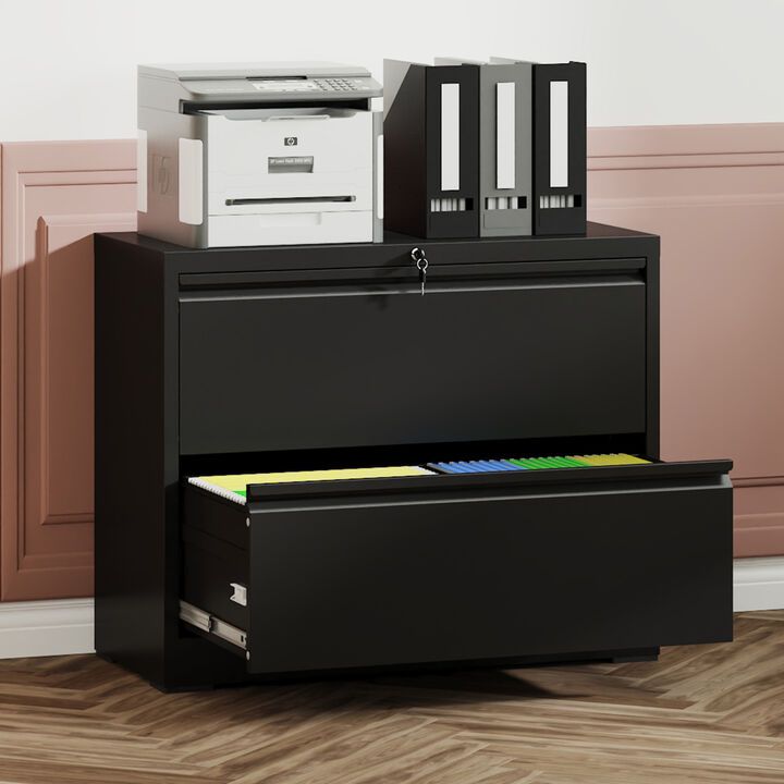 GOODSILO Heavy-Duty 2-Drawer Steel File Cabinet for Document Organization and Secure Storage