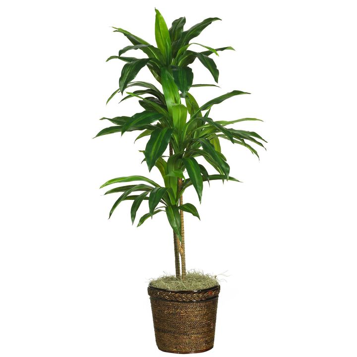 Nearly Natural 48-in Dracaena w/Basket Silk Plant (Real Touch)