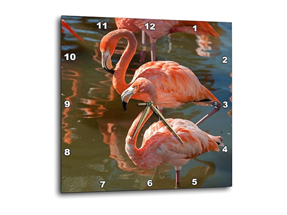 Florida Orlando Pink Flamingos Gatorland Wall Clock 15 Inch Home Decor