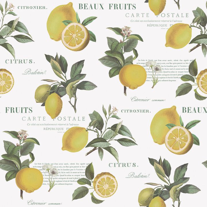 Just Kitchens Citron Botanical Yellow Wallpaper G45409
