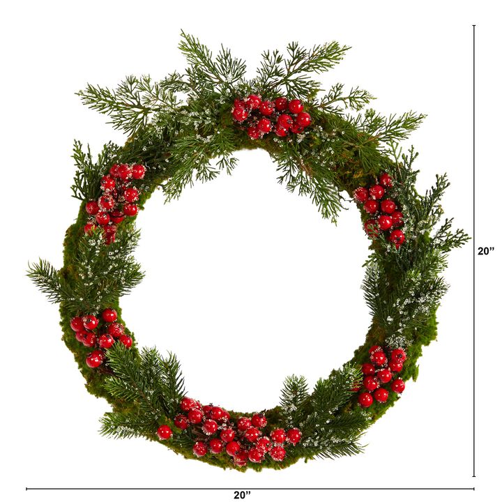 HomPlanti 20" Iced Pine and Berries Artificial Christmas Wreath